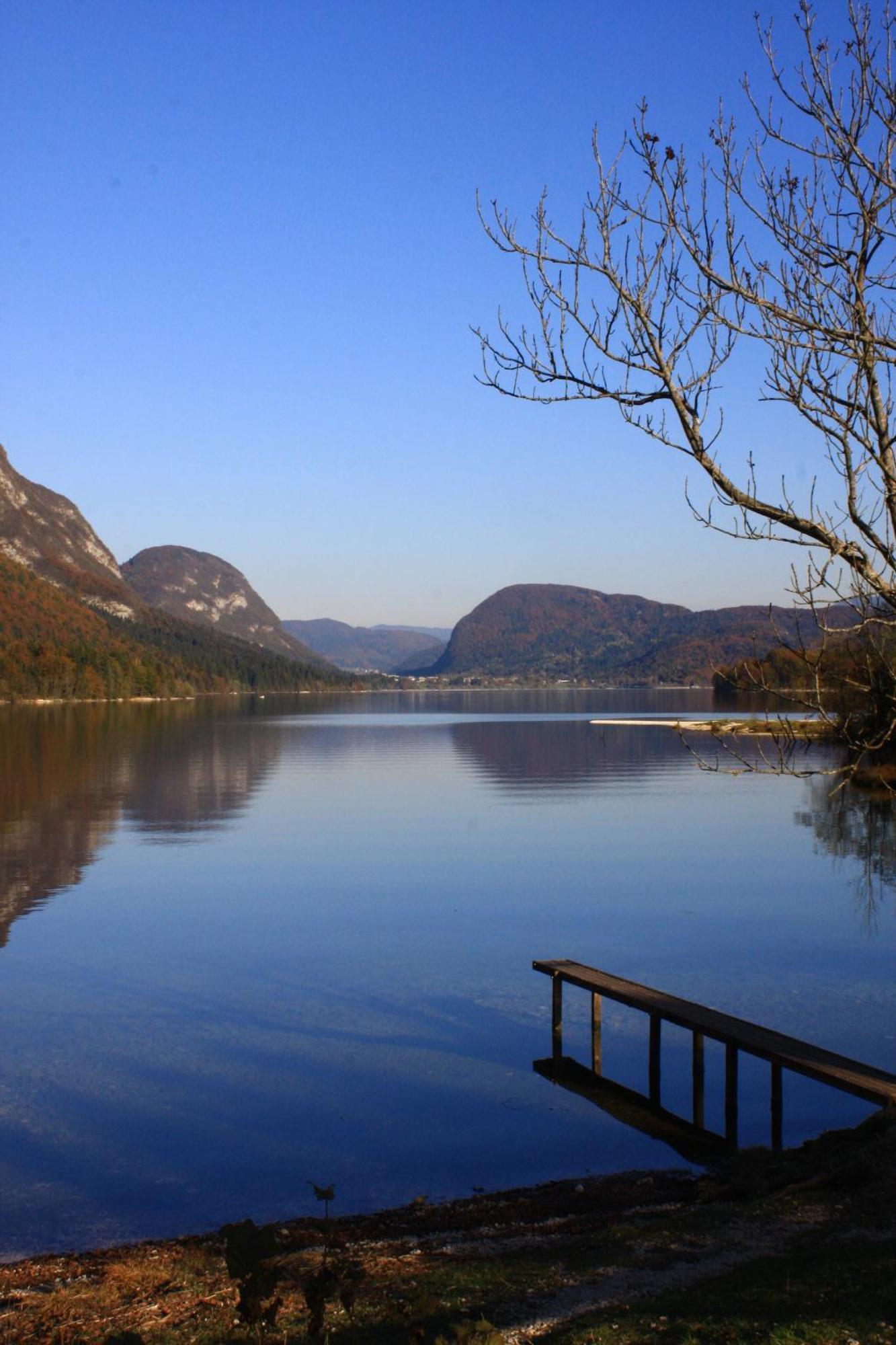 Apartments Susnik Bohinj Exteriör bild