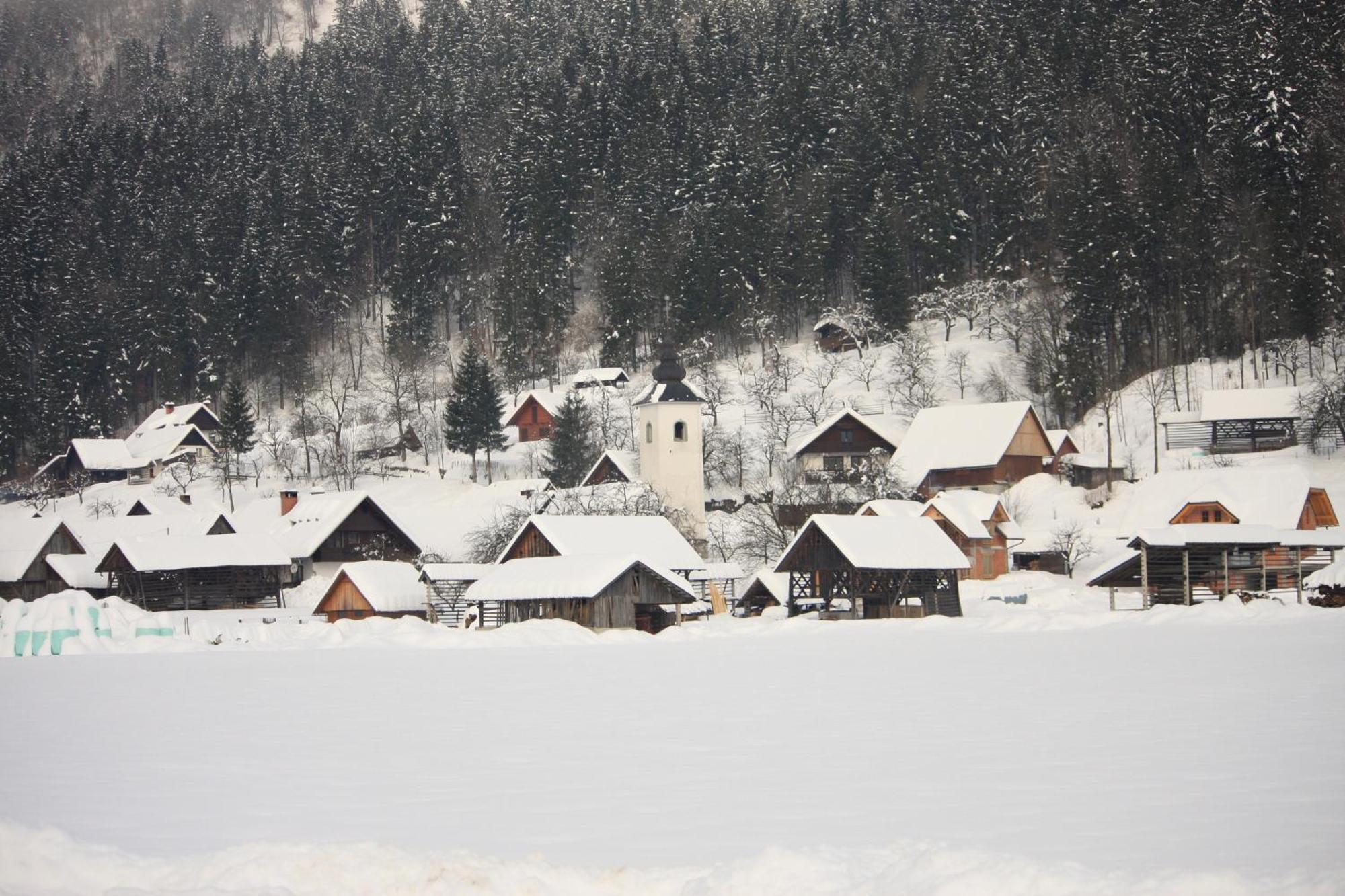 Apartments Susnik Bohinj Exteriör bild